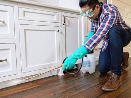 Real Estate Pest Inspections in Clayton, NJ